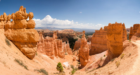 landscape on the bryce canyon in the united states of america