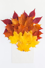 Autumn leaves in paper envelope mockup