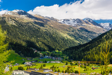 Alps Mountains covered with pine forest, Davos,  Graubuenden, Switzerland