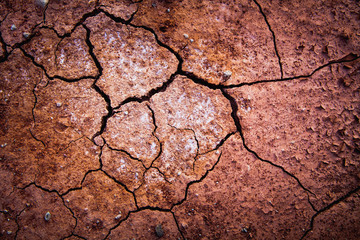 Cracked by the heat long lifeless soil
