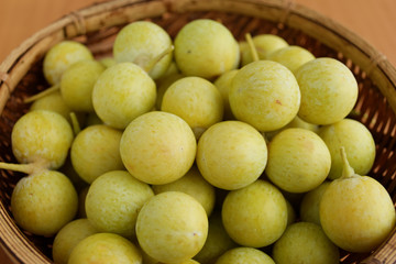 未熟なギンナン