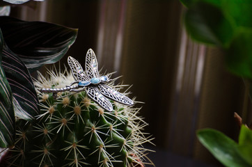 Dragonfly brooch sitting on a cactus between palm plants