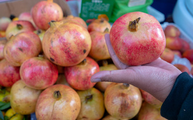 A hand holds a huge pomegranate