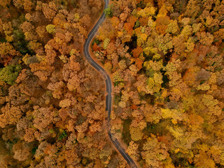 Aerial view at the road in autumn forest