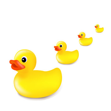 Rubber Duck Isolated White Background