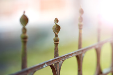 Obraz premium Metal black fence with gold elements