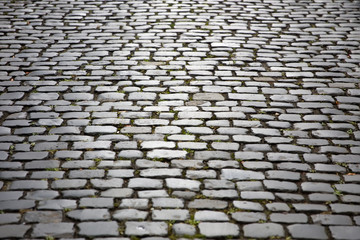 Stone block pathway