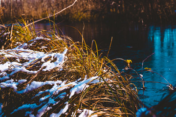 autumn sun illuminates a frozen forest lake