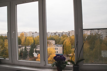 View from the window