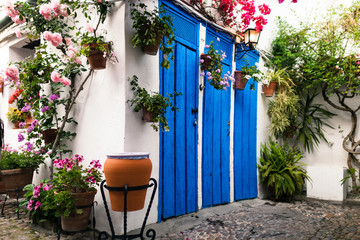 Fototapeta na wymiar Typical andalusian courtyard in Cordoba, Andalusia Spain