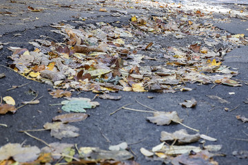 large pit with stones on the asphalt road