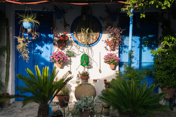Typical andalusian courtyard in Cordoba, Andalusia Spain
