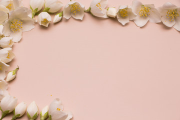 Jasmine flowers on pink wooden background. Frame. Top view