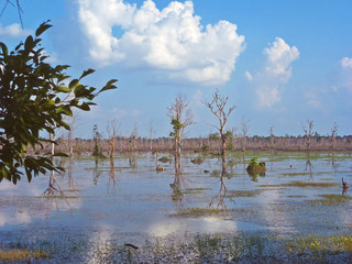 Background of Tonle sap lake, The largest freshwater lake in Southeast Asia, Cambodia. 