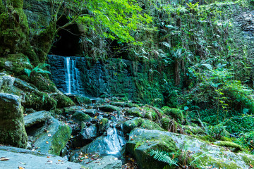 cascade 