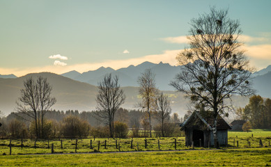landscape murnauer moos - bavaria