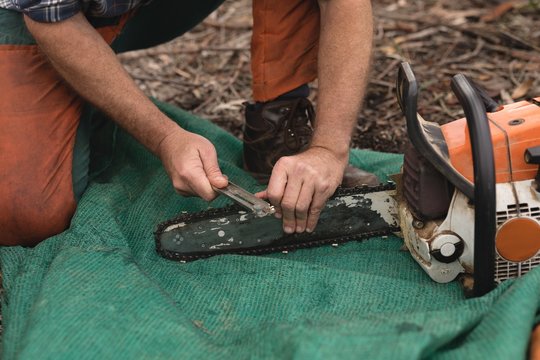 Lumberjack adjusting chainsaw machine - Powered by Adobe