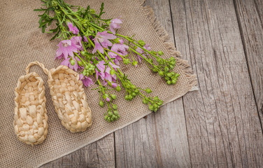Bast trees and mallow flowers on a wooden background