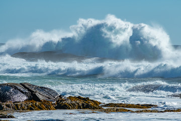 Day after the wind storm