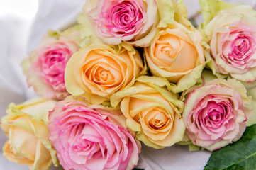 Frische Rosa und Gelbe Rossen 