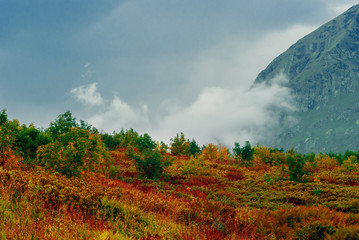 bright mountain pass with rhododendrons, yellow and red autumn vegetation on the background of a gloomy mountain range with clouds..
