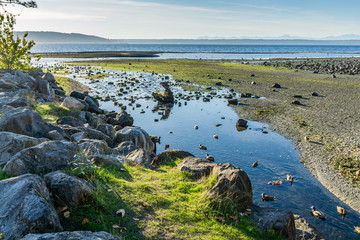 Stream Flows To The Sea