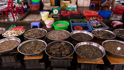 Vietnamese seafoodmarket with different fishes, oysters,crabs,sharks and many others sea creatures. Wonderful place for tourists in Vietnam who wants to buy some exotic food.The gifts of Asia ocean.