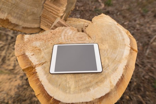 Digital tablet on tree stump in forest