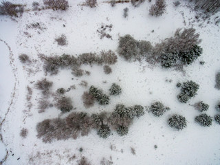 drone image. aerial view of rural area with fields and forests in snowy winter