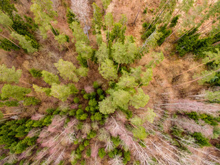drone image. aerial view of rural area with fields and forests with river and water reflections