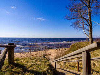 drone image. aerial view of rural area with rocky beach of Baltic sea