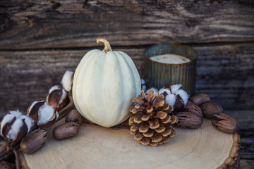 Fall Autumn Southern Decor on Wooden Background with Cotton and Pine Cones and a White Pumpkin