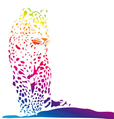 Isolated colorful jaguar on white background - illustration
