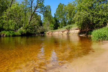 calm river with reflections of trees in water in bright green foliage in summer