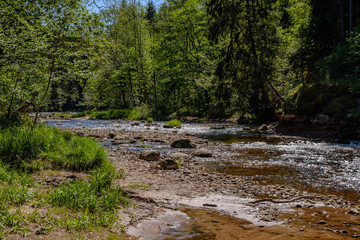 calm river with reflections of trees in water in bright green foliage in summer