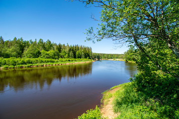 calm river with reflections of trees in water in bright green foliage in summer