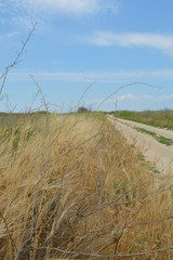 Obraz premium field and blue sky.Arabatskaya arrow. Chokrak