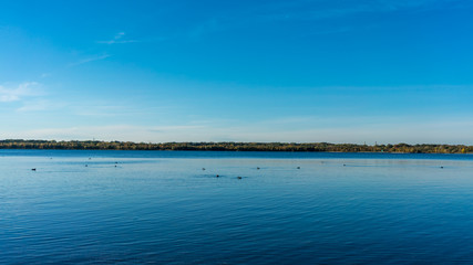 Birds on a blue lake, beautiful background