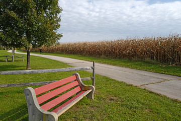 Obraz premium Late autumn of farm park