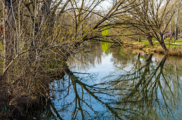 River and park in Palencia, Spain