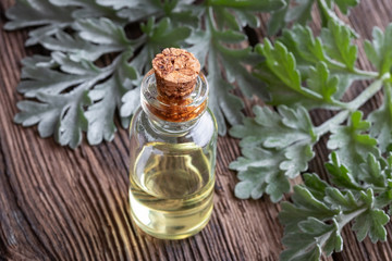 A bottle of wormwood essential oil with fresh wormwood twigs