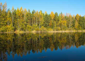 Autumn forest with a beautiful lake in sunny day. Bright colorful trees reflecting in calm water of the lake.