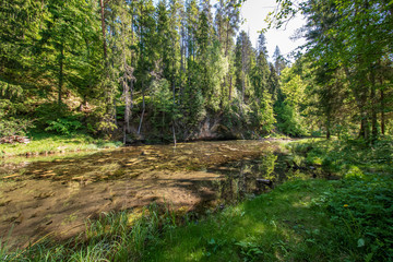calm river with reflections of trees in water in bright green foliage in summer