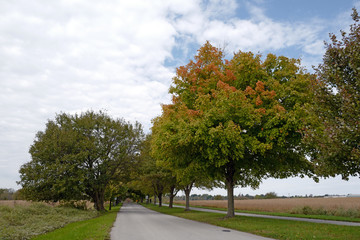 Late autumn of farm park