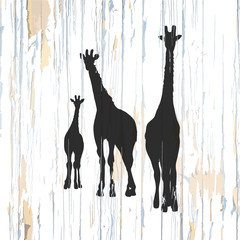 Giraffe icons on wooden background
