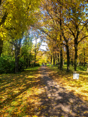 Alley in the autumn city Park