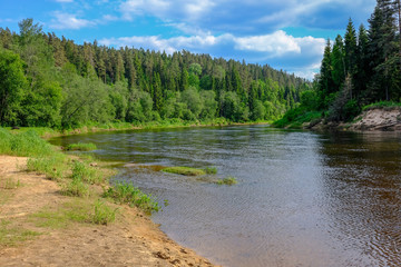 calm river with reflections of trees in water in bright green foliage in summer