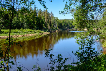 calm river with reflections of trees in water in bright green foliage in summer