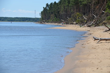 берег куршского залива