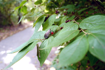 A park where autumn begins